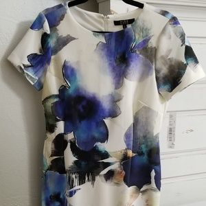 ALEX MARIE Blue/ Black Printed Dress (Size 6) NWT